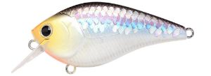 Lucky Craft LC 1.5 shallow crank