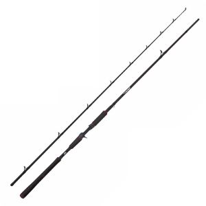 Abu Garcia Beast Pike casting