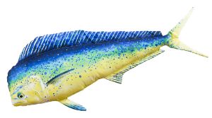 Gaby Fish Cushion