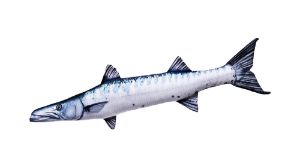 Gaby Fish Cushion