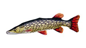 Gaby Fish Cushion