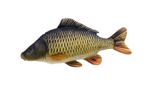 Gaby Fish Cushion