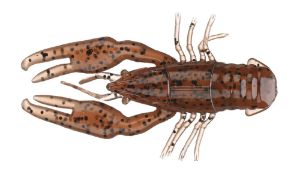 YUM CrawBug