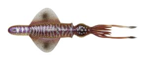 Savage Gear PVC RTF Swim Squid