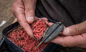 Korum Grub Feeder