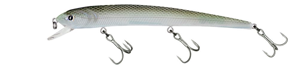 Molix Audace 130