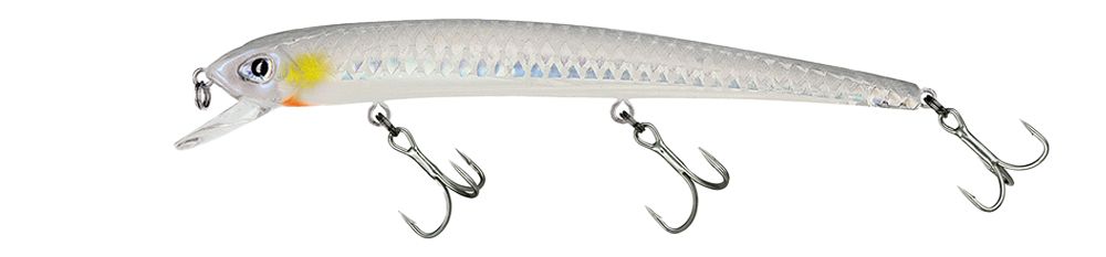 Molix Audace 130