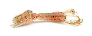 Keitech Lures Hyper Spider