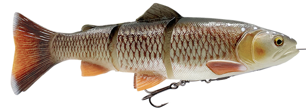 サーベジギア Line Thru Trout 40cm 630g 楽天市場】サベージギア