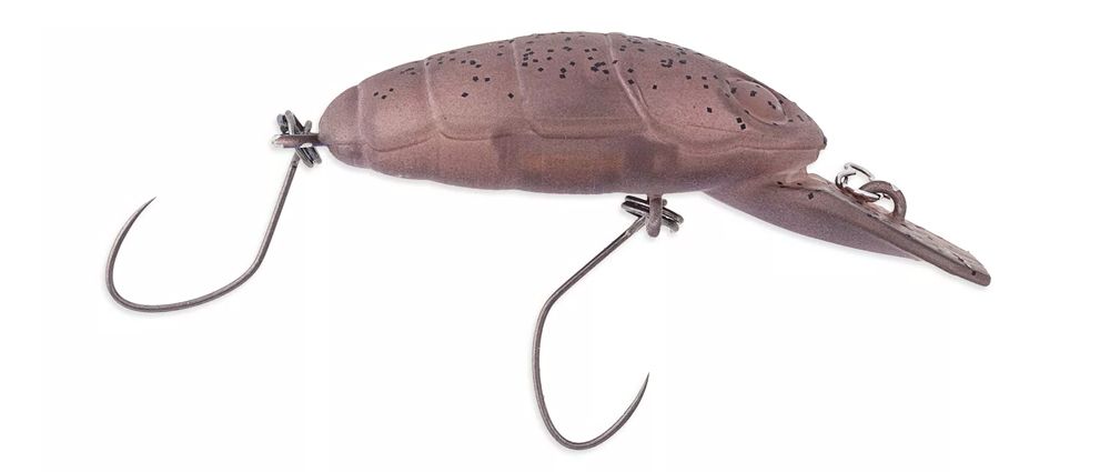 Nories Crankin' Pupa