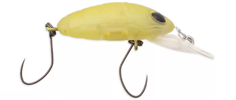 Nories Crankin' Pupa