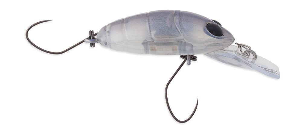 Nories Crankin' Pupa