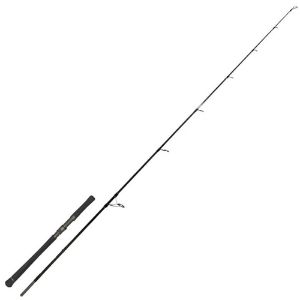 Zeck Evo Cat Spinning