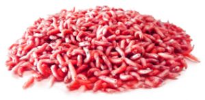 Bassstoreitaly Bigattini