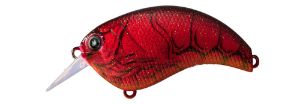 Deps Evoke 2.0