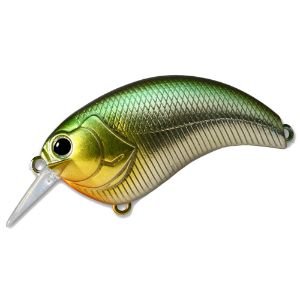 Deps Evoke 3.0