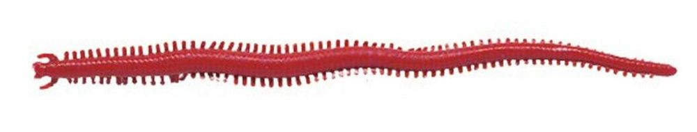 Berkley Gulp Sandworm Nereis
