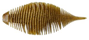 Geecrack Bellows Gill