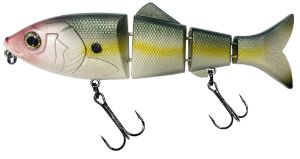 Reaction Strike Revolution Shad