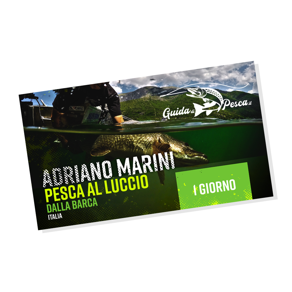 Anello Guida di Pesca 7 Pezzi di Anelli da Pesca di Dimensioni Miste, Kit di Riparazione for canne, Guide di Linea, Set di Occhi. Anelli per Canna da Pesca