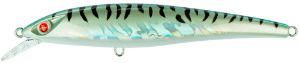 Seaspin Eja 115 SF
