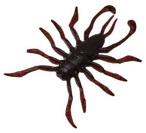 Illex Rv Bug