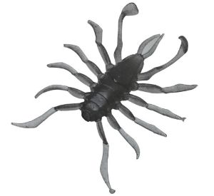 Illex Rv Bug