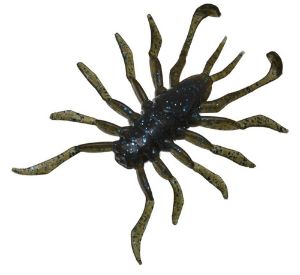 Illex Rv Bug