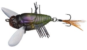 DUO Realis Shinmushi