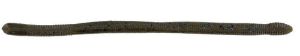 DUO Realis Wriggle Crawler