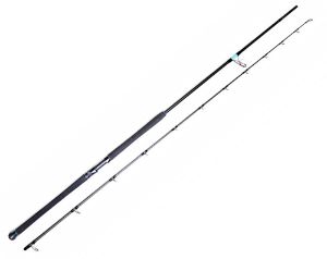 Favorite X1 Shore Jigging spinning