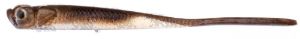 Milo Lamprey