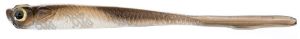 Milo Lamprey