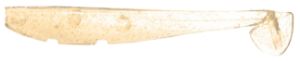 Antiche Pasture Illuminor Baits - Davil Shad