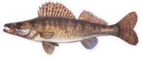 BKK FISHING HOOKS Omaggio 75 eu - BKK Sticker