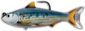 Livetarget Common Shiner