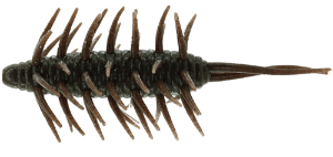 Hideup Coike Shrimp 