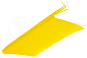 Imagen de JMC Cóndor Suplente