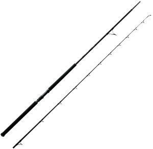 Immagine di Okuma F-15 Shore Jigging spinning