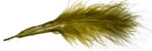 Immagine di JMC Piume di Marabou