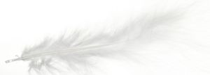 Immagine di JMC Piume di Marabou