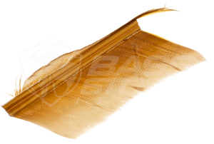 Imagen de JMC Cóndor Suplente