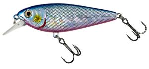 Picture of Molix Brugas R
