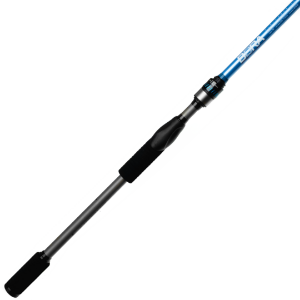 Picture of Airrus Bora 25 Spinning
