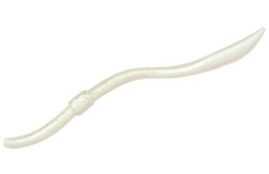 Picture of Spro Freestyle Twitch Worm