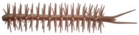 Immagine di Hideup Worm Coike Straight Elastomer