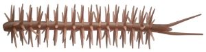 Immagine di Hideup Worm Coike Straight Elastomer