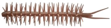 Immagine di Hideup Worm Coike Straight Elastomer