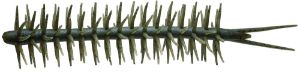 Picture of Hideup Worm Coike Straight Elastomer
