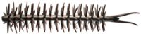 Immagine di Hideup Worm Coike Straight Elastomer